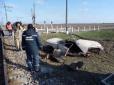 Неймовірний порятунок пасажирів: На Запоріжжі потяг протаранив легкове авто (фото)