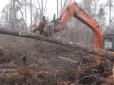 В Індонезії орангутанг намагався захистити ліс від людей (відео)