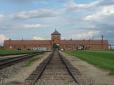 Трохи сувенірів на пам'ять: Американець хотів викрасти частину залізниці в Освенцимі