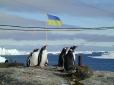Вартові Антарктиди: Як живуть і працюють українці на самому краю світу (фото)
