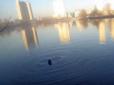 Рахунок йшов на секунди: Як патрульні врятували жінку, яка тонула в озері в Києві (відео)