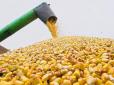 Зірки усміхаються гречкосіям: Торговельна війна Китаю та США дуже допомогла українським виробникам кукурудзи