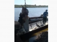 Хіти тижня. У Росії спіймали гігантську рибу, яку довелося діставати екскаватором (відео)