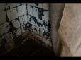 На Львівщині мешканці зруйнованого будинку живуть у нелюдських умовах (відео)