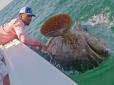 Вдала рибалка: Америиканець спіймав окуня вагою в 159 кг (фотофакт)