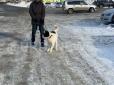 Будні скреп: У Росії собаку забрали із притулку, щоб ... зварити і з'їсти (фото)
