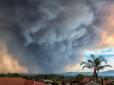Зливи загасили лісову пожежу в Австралії, яка тривала кілька місяців