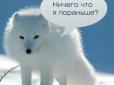 Сміх, злість, відчай і погрози: Мережі вибухнули через продовження карантину в Україні