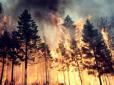 Уже згоріла територія Австрії: Лісові пожежі в Сибіру прийняли загрозливих масштабів, - Bloomberg