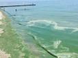 Зеленський похвалив чисте море в Одесі: У МОЗ 