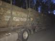Рідні впевнені, що не випадково: На Житомирщині вантажівка з деревиною на смерть збила лісника (відео)