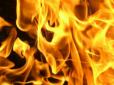 На Чернігівщині під час пожежі згоріла 2-річна дитина