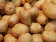 Білорусь, посунься: Україна увійшла у ТОП-3 країн-виробників картоплі