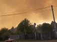 На Харківщині спалахнула масштабна лісова пожежа