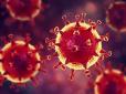 Тенденція позитивна, але ж були вихідні: У МОЗ оприлюднили статистику по коронавірусу на 16 листопада