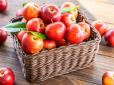 Яблука можуть нашкодити здоров'ю: Медики розповіли, кому не можна зловживати