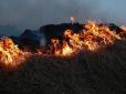 Вирішили записати яскраве сторіз: У Росії школярки спалили ферму задля ролику у Тік-Ток - люди втратили величезні гроші і роботу