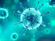 Україна восени почне випробовувати власну білкову вакцину проти COVID-19, - директор Інституту біології клітини НАНУ