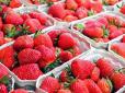 В Україні різко впали ціни на полуницю: Скільки коштує ягода у різних регіонах