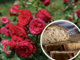 Щоб троянди пишно цвіли: Як приготувати найкраще добриво для квітів зі старого хліба і бур'янів