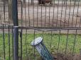 Нищать все живе, що тільки можуть: Окупанти вночі влучили ракетами в зоопарк Миколаєва