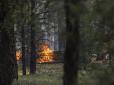 Усіх військових відправили на війну до України: У Сибіру ніяк не можуть приборкати лісові пожежі