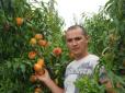 Персик не любить вологі, бідні та холодні ґрунти: Як виростити смачні та соковиті плоди