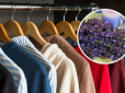 Одяг завжди приємно пахнутиме: ТОП-5 простих способів покращити запах у шафі