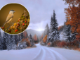 Сильний снігопад і похолодання: Синоптики озвучили неприємний прогноз на осінь в Україні