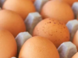 По сотні за десяток? Ціни на яйця в Україні можуть сягнути нової позначки