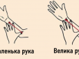 А ви це знали? Розмір власної руки розповість дещо цікаве про ваш характер
