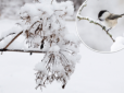 Україну завалить снігом і різко вдарить мороз: Синоптики попередили про сильний холод