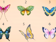 Виберіть метелика, який вам подобається - та дізнайтеся приховані риси своєї особистості