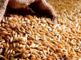 Кремль продовжує шантаж: Світові ціни на пшеницю різко зросли після виходу Росії із зернової угоди