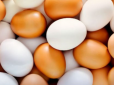 Дефіцитний продукт: Українцям повідомили, що буде з цінами на яйця у 2023 році