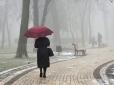 Новий рік з дощем і туманами, а в перші дні року - справжня весна: Синоптики дали прогноз на найближчі дні