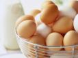 Корисні поради до свят: Позбутися похмілля допоможуть сирі яйця, уникайте надлишку цукру у крові