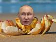 Путін - 