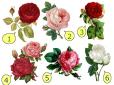 Виберіть троянду - і дізнайтесь, що вона розповість про ваше кохання
