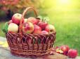 Ризик інсульту зменшується в рази! Чому щодня потрібно їсти яблука - пояснення експертів