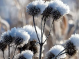 Після справжньої весни ще повернуться морози: Кліматологиня розповіла, коли в Україні чекати похолодання