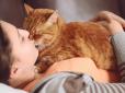 Секрети вашого муркотика: Кого найбільше люблять коти і як обирають з ким із домочадців спати