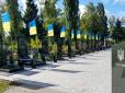 План затверджено: У міністерстві ветеранів розкрили терміни відкриття головного військового кладовища України