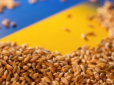 Заборона на експорт зерна в країни Європи боляче вдарить по економіці: Україна втратить робочі місця і гроші