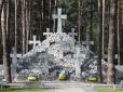 КМДА виділила землю на Східній околиці Києва під створення Національного військового меморіального кладовища