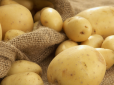 Секрет досвідчених городників! Як зібрати врожай молодої картоплі раніше за сусідів - будуть заздрити всі