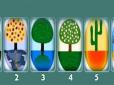 Психологічний тест: Виберіть дерево на картинці - і дізнайтеся своє ставлення до життя
