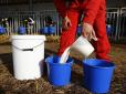 Помста за... алфавіт: Росія заборонила ввезення молока з Киргизстану