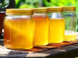 Як перевірити мед на натуральність: ТОП-3 найпростіших способи