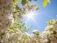 Сухо і тепло: Укргідрометцентр оновив прогноз погоди на 15 травня